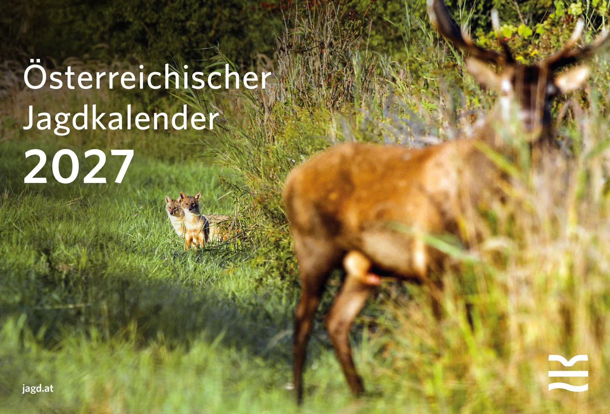 Cover: 9783852081892 | Österreichischer Jagdkalender 2027 | Kalender | 32 S. | Deutsch | 2027