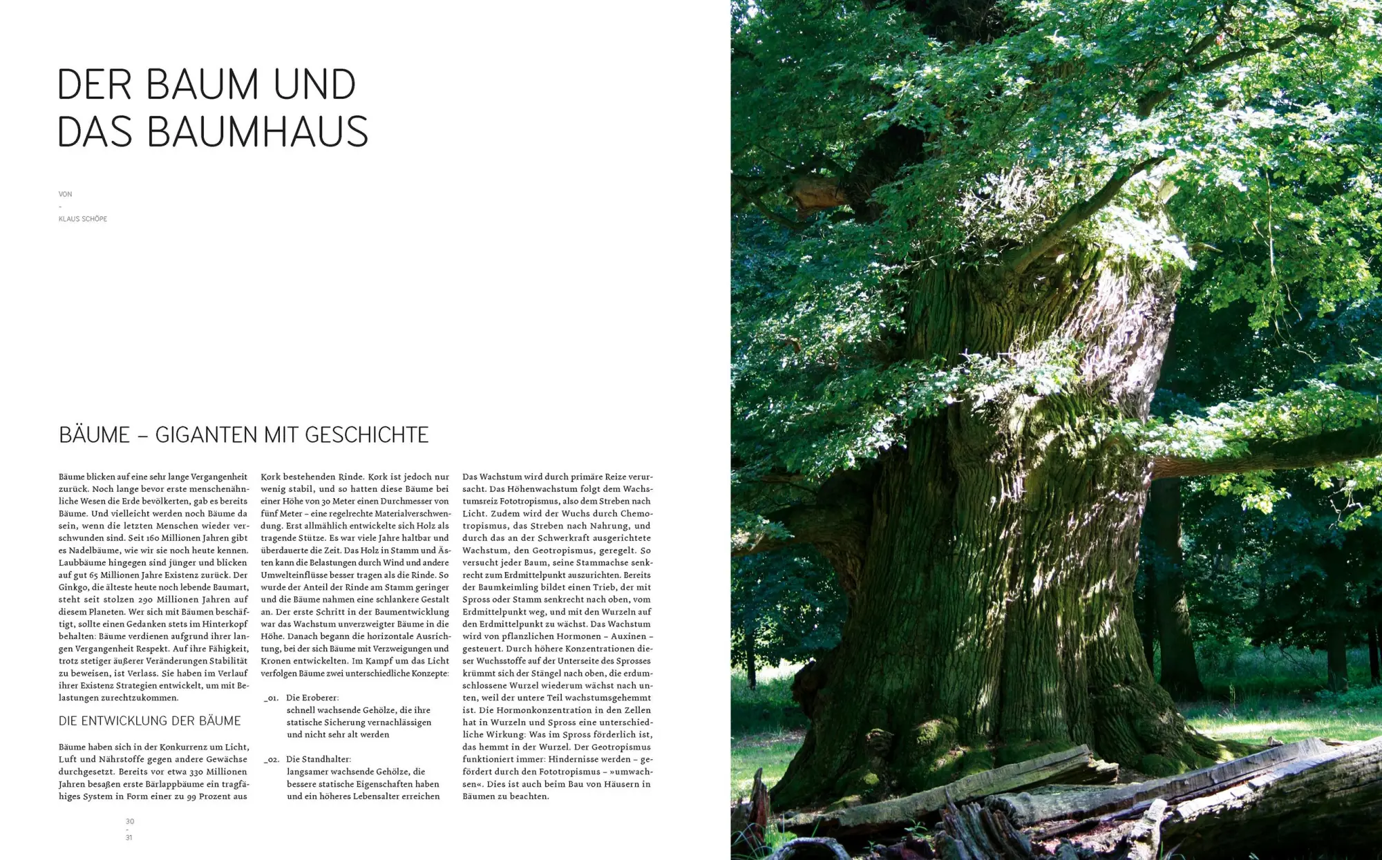 Bild: 9783869221892 | Baumhäuser | Neue Architektur in den Bäumen | Andreas Wenning | Buch