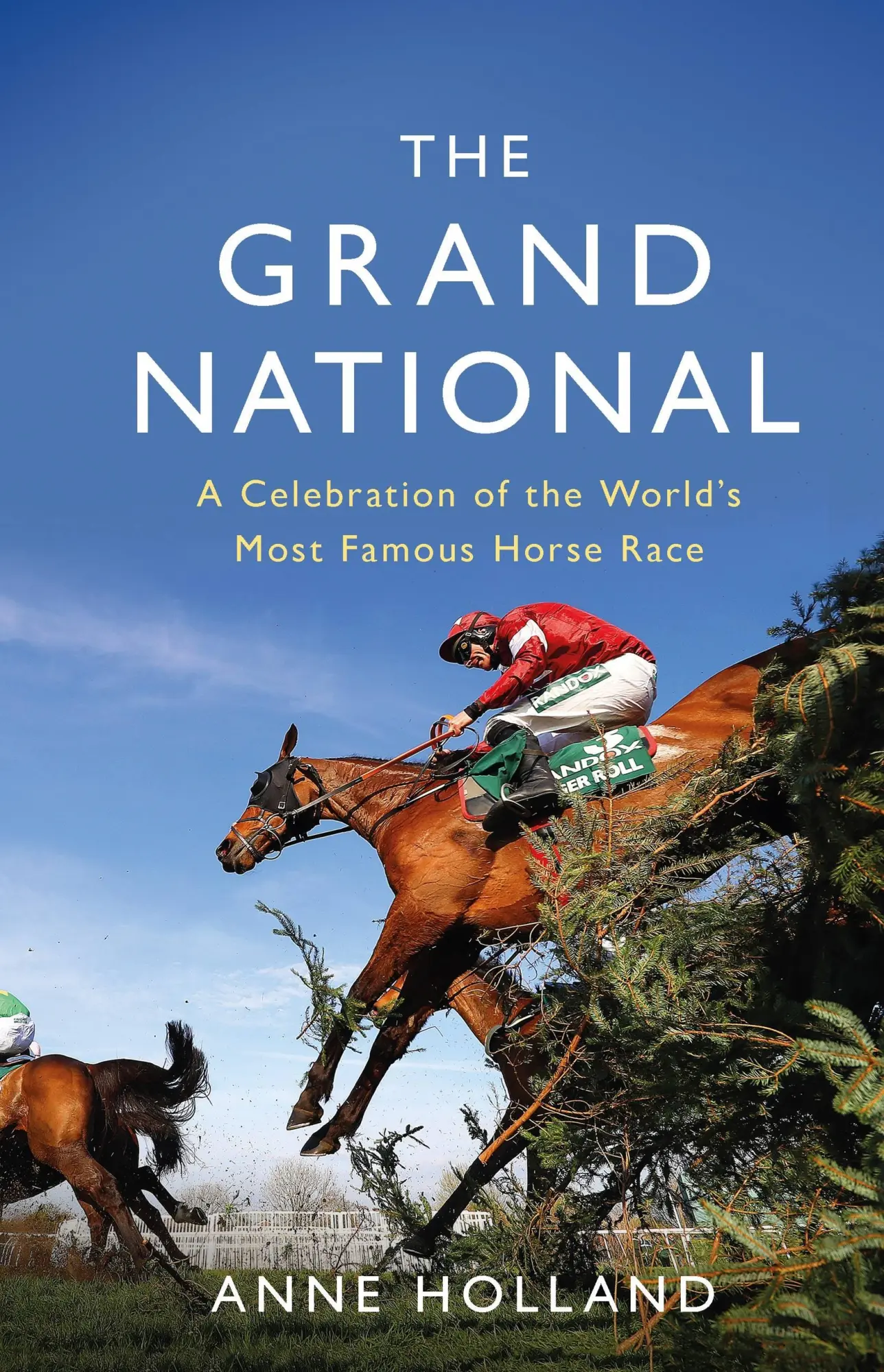 Cover: 9781474611992 | The Grand National | Anne Holland | Taschenbuch | Englisch | 2021