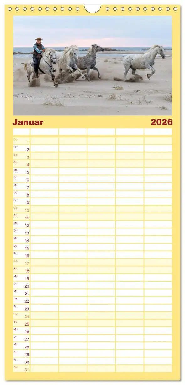 Bild: 9783516601992 | Familienplaner 2026 - Die weißen Pferde der Camargue mit 5 Spalten...