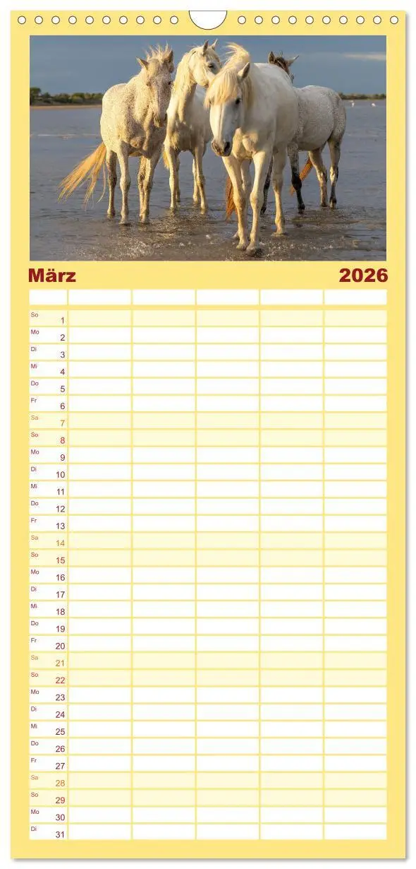 Bild: 9783516601992 | Familienplaner 2026 - Die weißen Pferde der Camargue mit 5 Spalten...