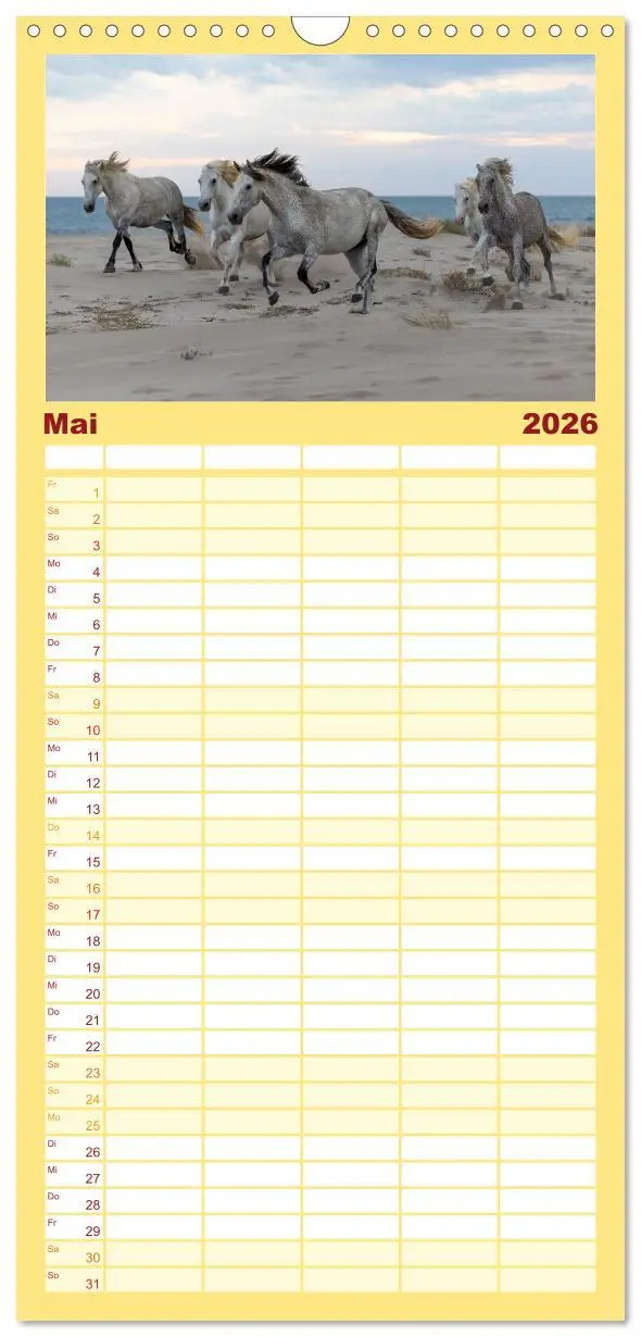 Bild: 9783516601992 | Familienplaner 2026 - Die weißen Pferde der Camargue mit 5 Spalten...