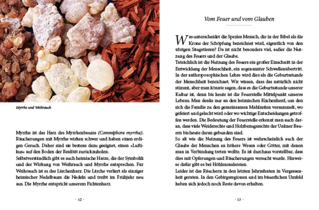 Bild: 9783710401992 | Das kleine Buch: Natürliche Deos aus Wald und Wiese | Gabriela Nedoma