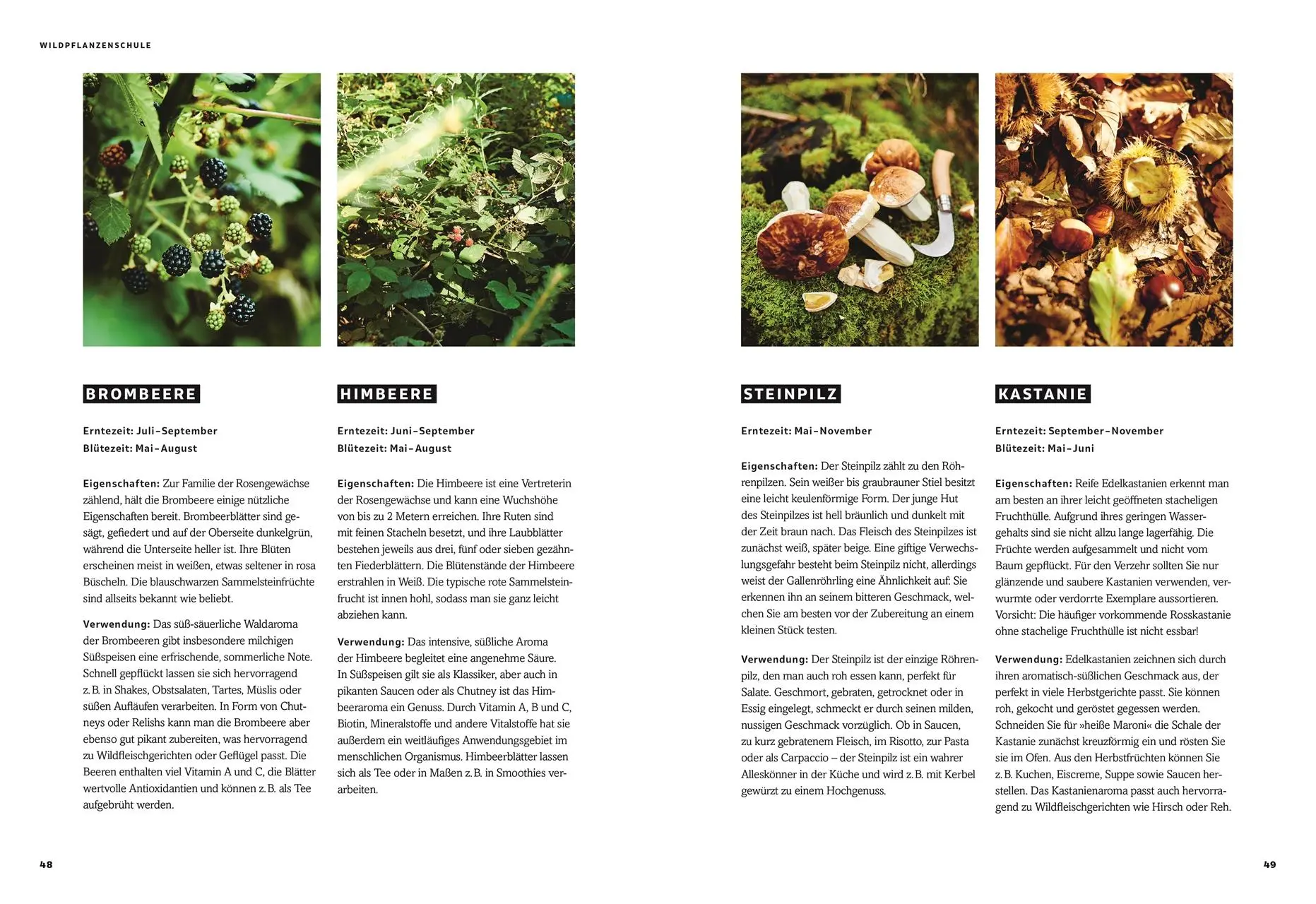 Bild: 9783831041992 | Wild - Wald - Genuss | Harald Rüssel | Buch | 256 S. | Deutsch | 2021