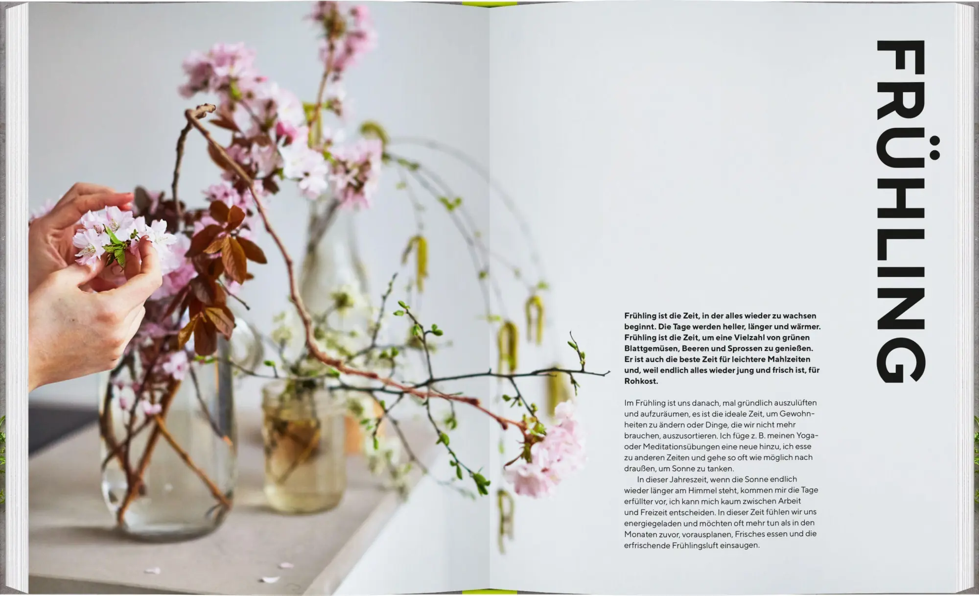 Bild: 9783836921992 | Mind Food - Iss dich glücklich! | Lauren Lovatt | Buch | 192 S. | 2024