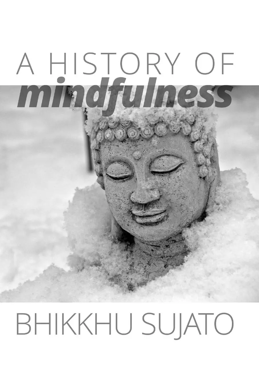 Cover: 9781921842092 | A History of Mindfulness | Bhikkhu Sujato | Taschenbuch | Englisch