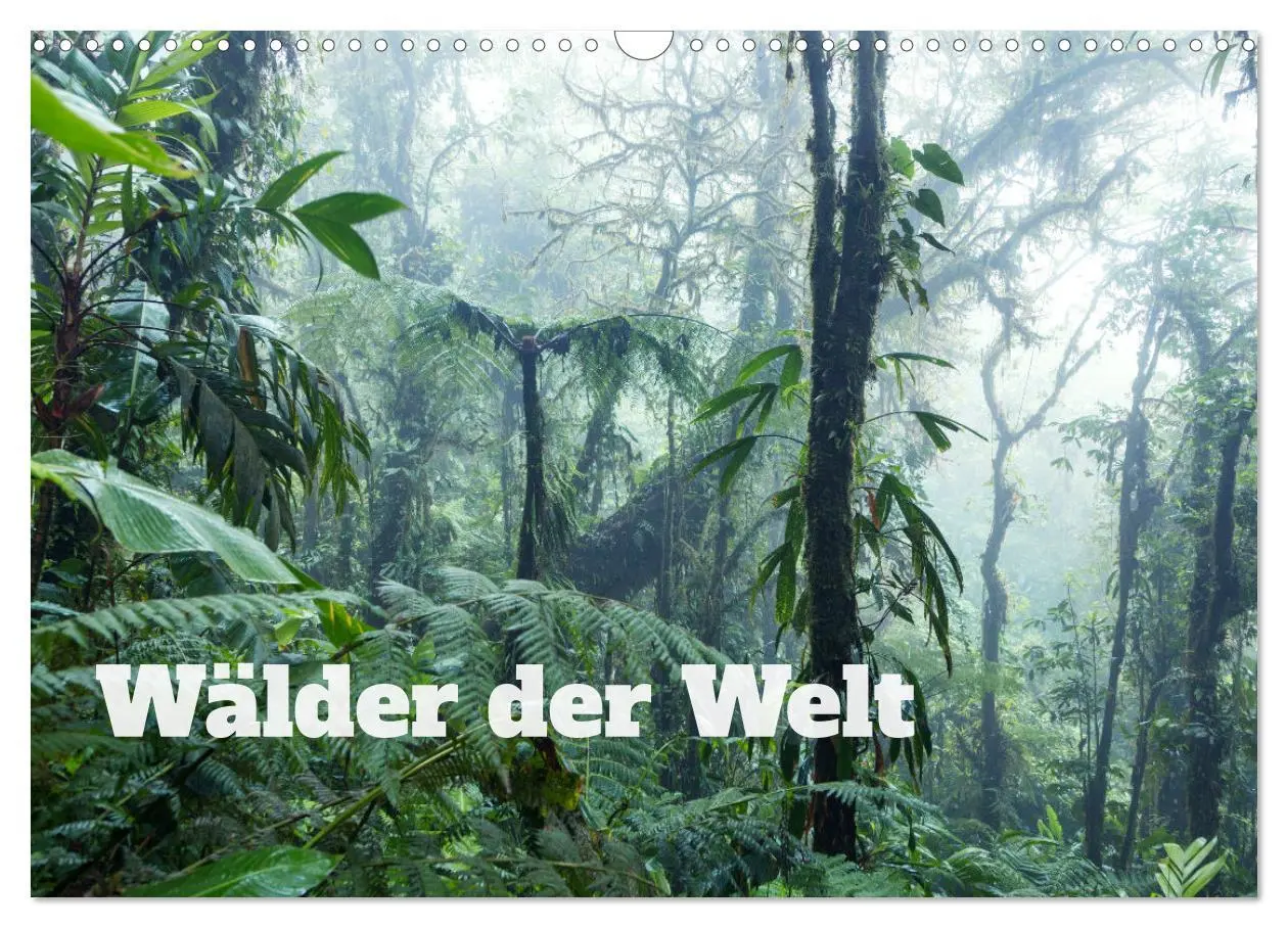 Cover: 9783457572092 | Wälder der Welt (Wandkalender 2026 DIN A3 quer), CALVENDO...