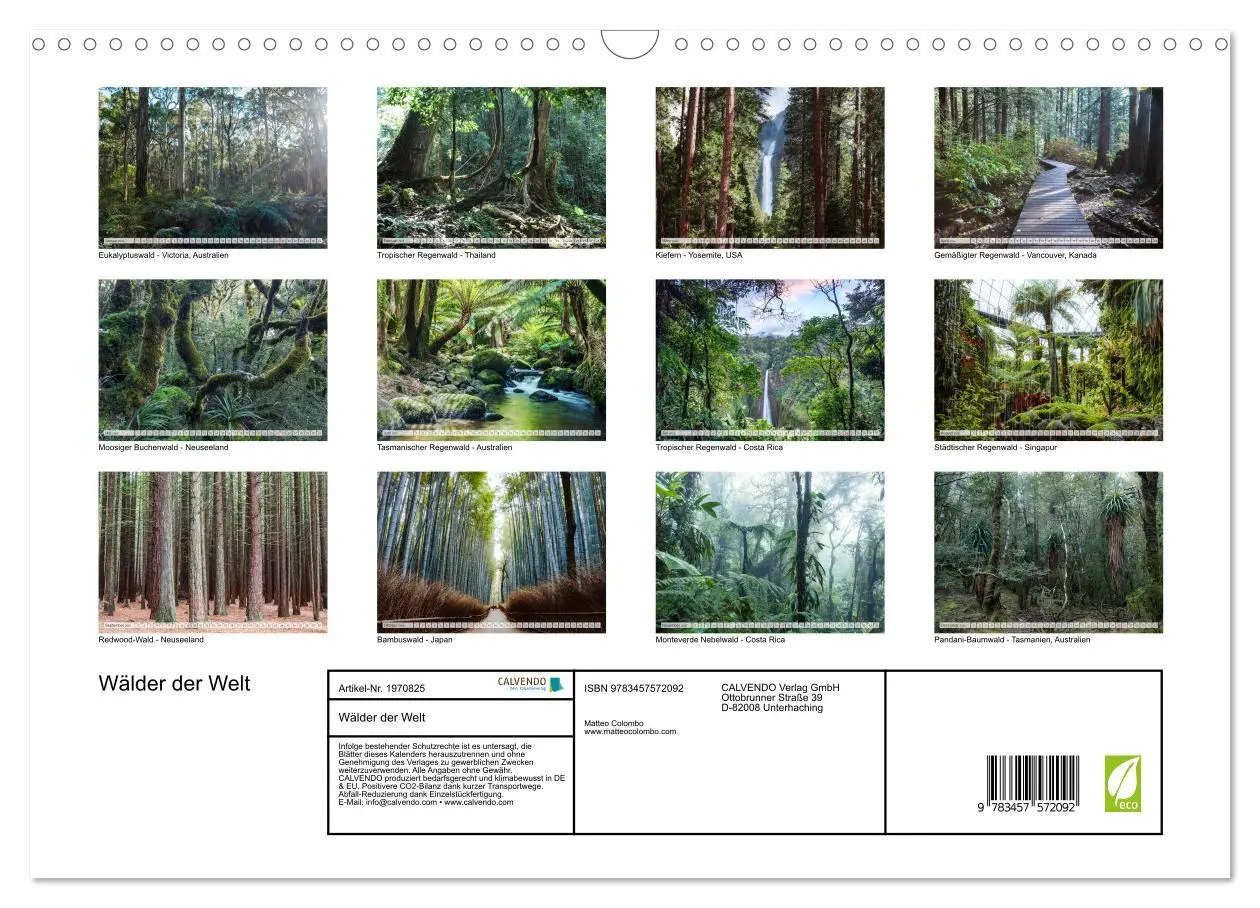 Bild: 9783457572092 | Wälder der Welt (Wandkalender 2026 DIN A3 quer), CALVENDO...