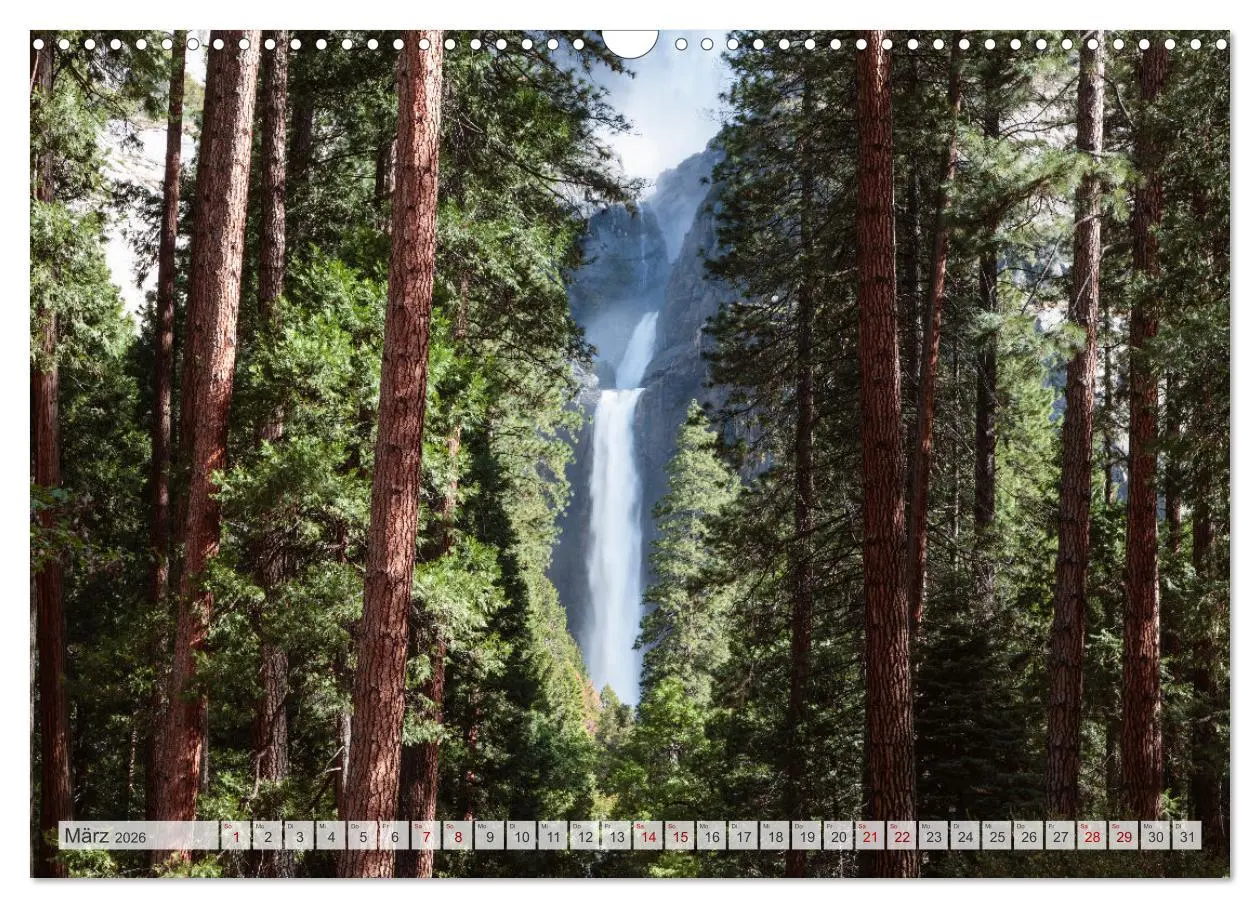 Bild: 9783457572092 | Wälder der Welt (Wandkalender 2026 DIN A3 quer), CALVENDO...