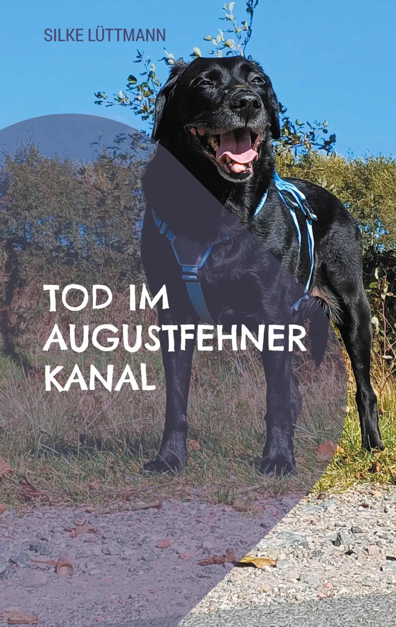 Cover: 9783842372092 | Tod im Augustfehner Kanal | Labrador Siley ermittelt | Silke Lüttmann