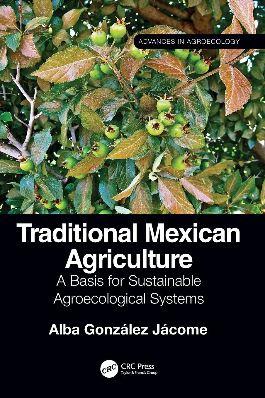 Cover: 9780367462192 | Traditional Mexican Agriculture | Alba González Jácome | Buch | 2022