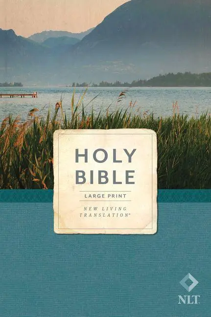 Cover: 9781496432292 | Holy Bible, Economy Outreach Edition, Large Print, NLT (Softcover)