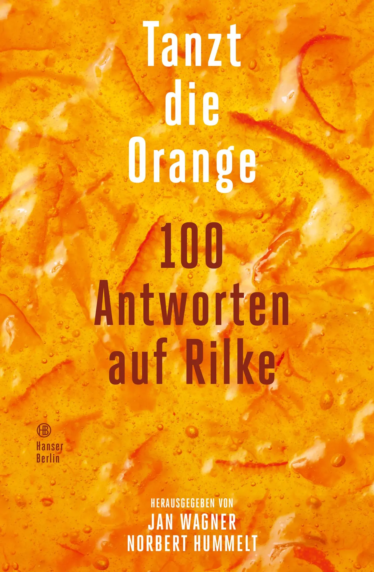 Cover: 9783446282292 | Tanzt die Orange | 100 Antworten auf Rilke | Jan Wagner (u. a.) | Buch