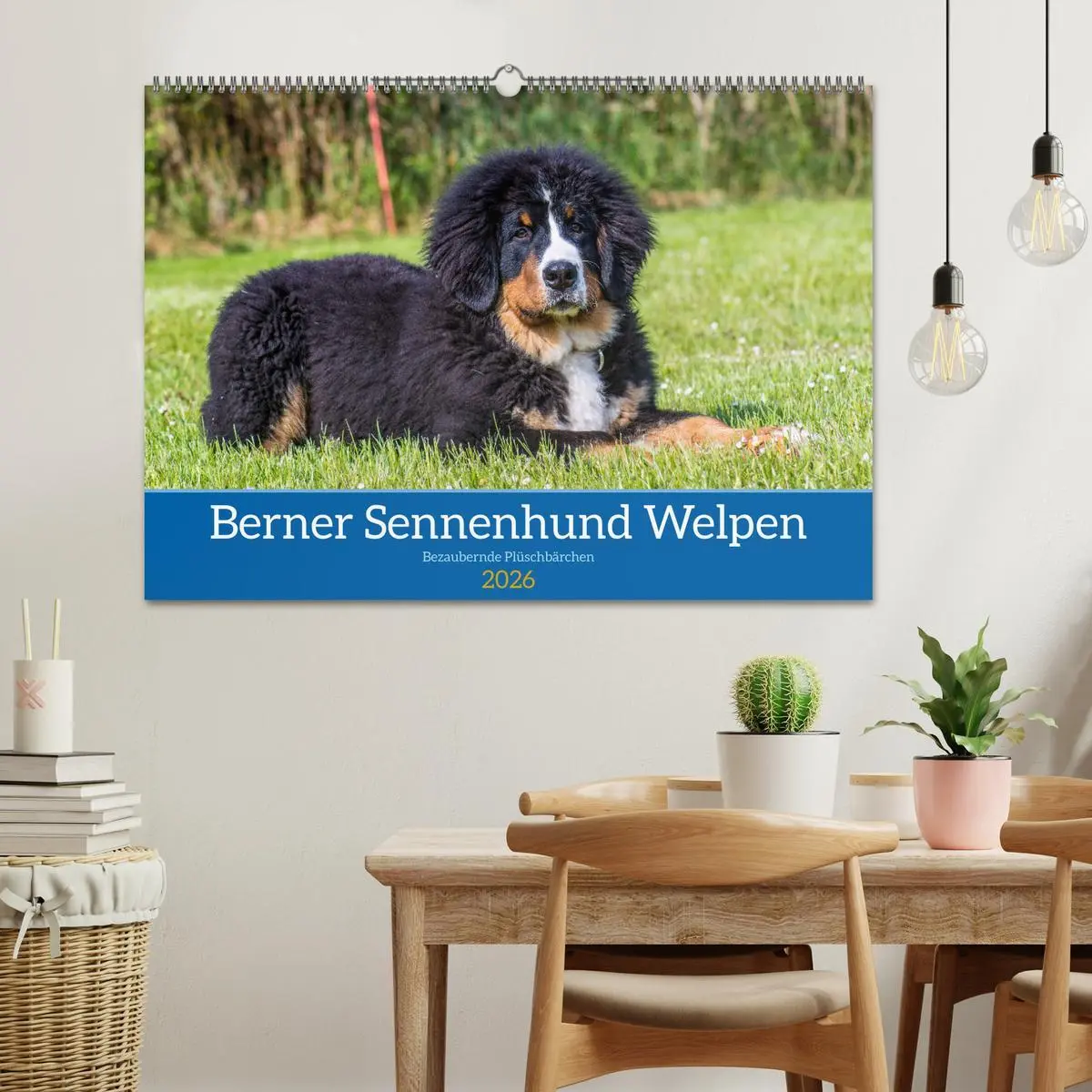 Bild: 9783457552292 | Berner Sennenhund Welpen - Bezaubernde Plüschbärchen (Wandkalender...
