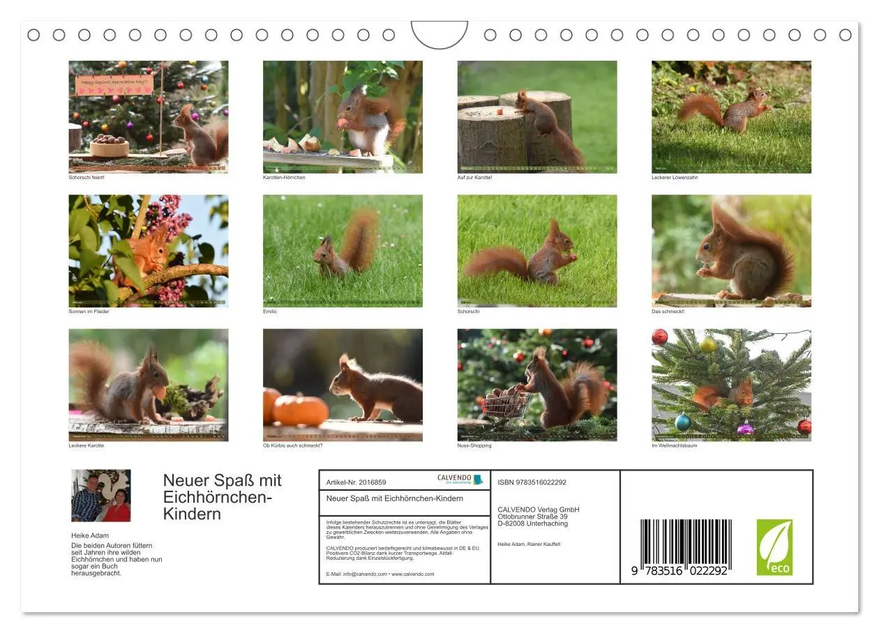 Bild: 9783516022292 | Neuer Spaß mit Eichhörnchen-Kindern (Wandkalender 2026 DIN A4...