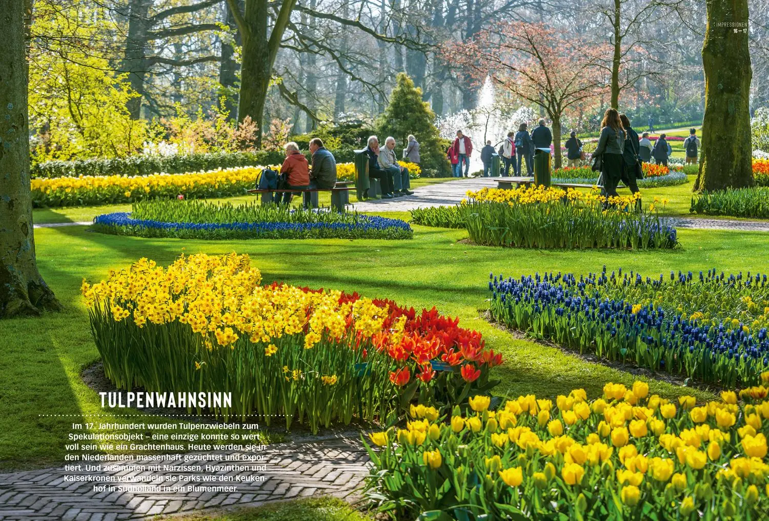 Bild: 9783616012292 | DUMONT Bildatlas Niederlande | Christian Nowak (u. a.) | Taschenbuch