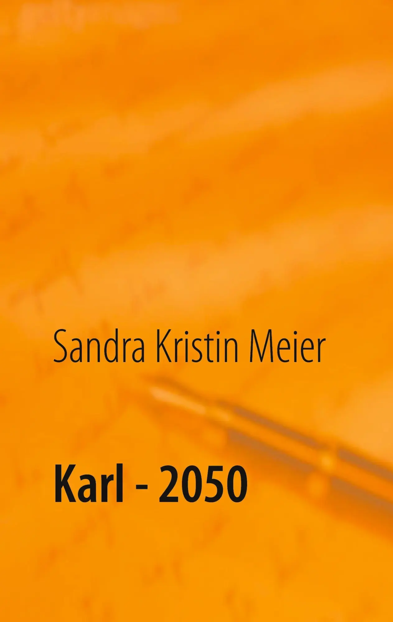 Cover: 9783752642292 | Karl - 2050 | Satirische Dystopie | Sandra Kristin Meier | Taschenbuch