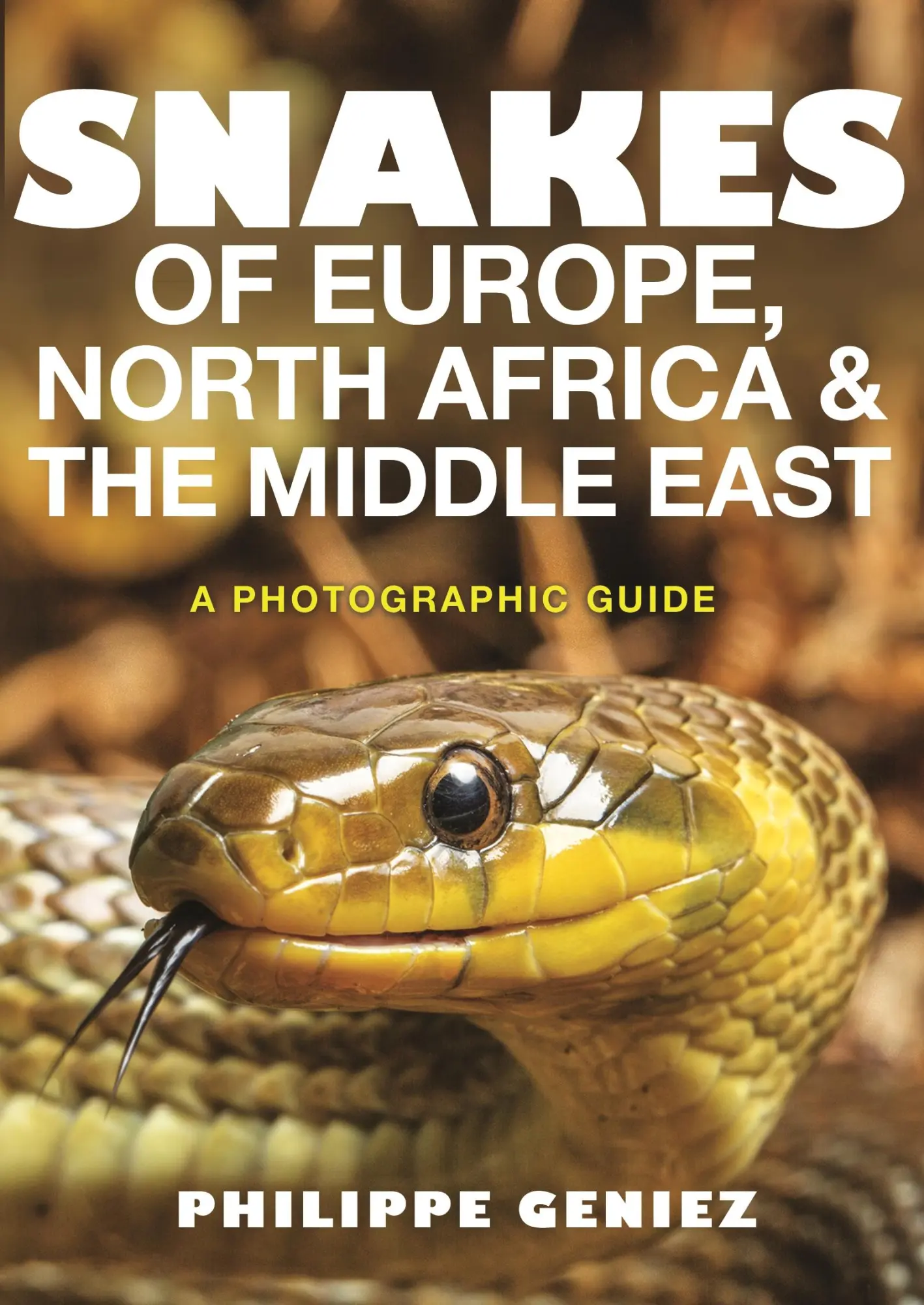 Cover: 9780691172392 | Snakes of Europe, North Africa and the Middle East | Philippe Geniez