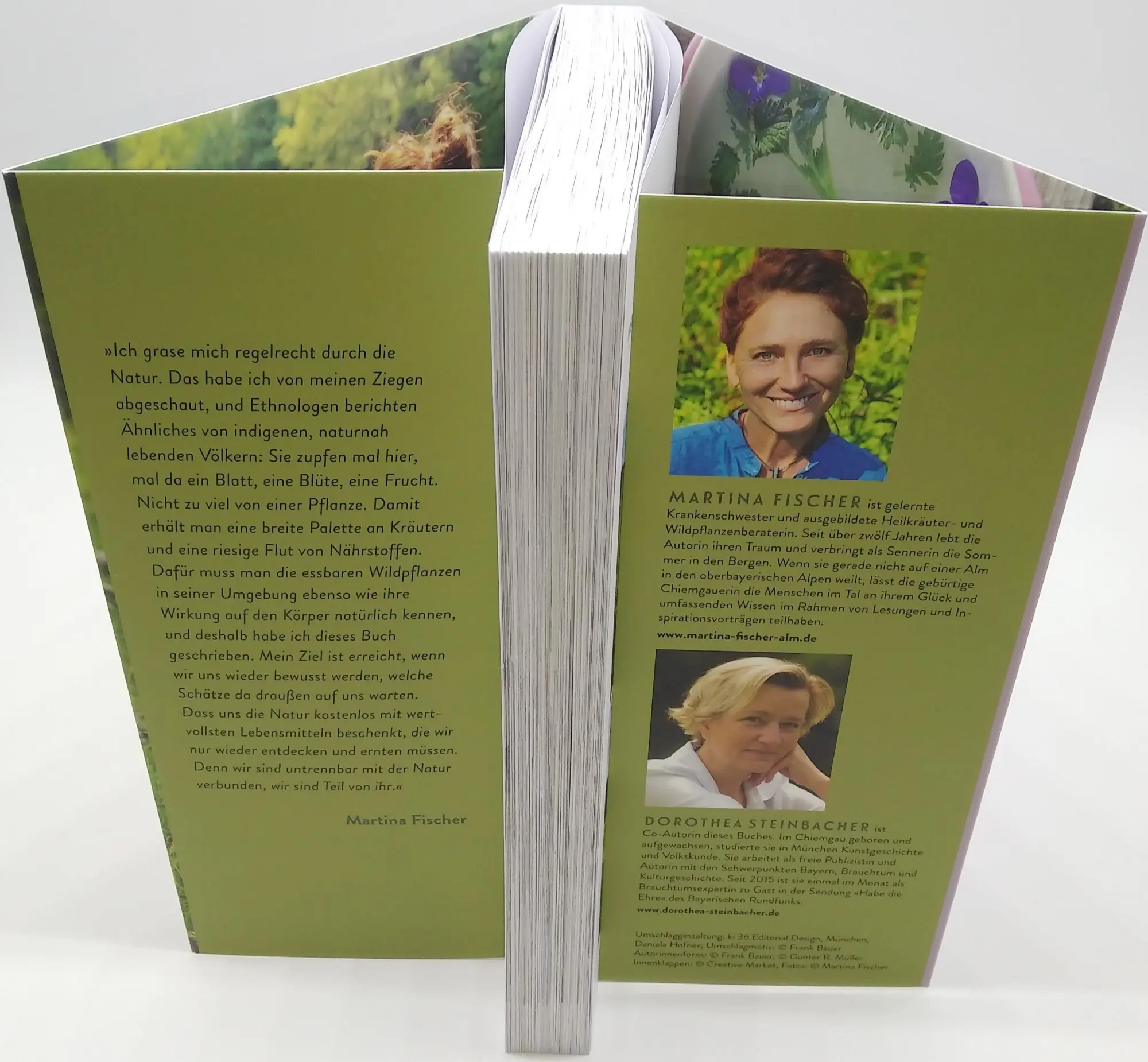 Bild: 9783424632392 | Meine Wildkräuter | Martina Fischer (u. a.) | Taschenbuch | 320 S.