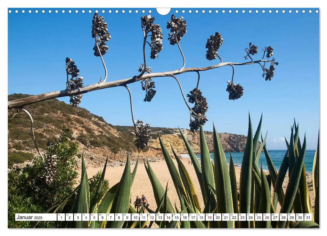 Bild: 9783435142392 | Algarve - Die schönste Küste Europas (Wandkalender 2025 DIN A3...