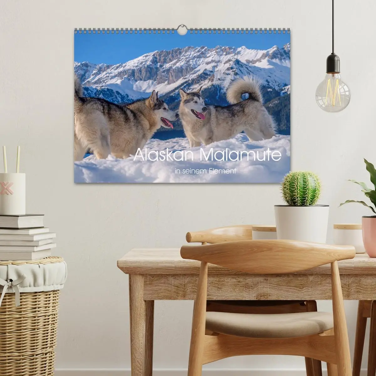 Bild: 9783457782392 | Alaskan Malamute in seinem Element (Wandkalender 2026 DIN A3 quer),...
