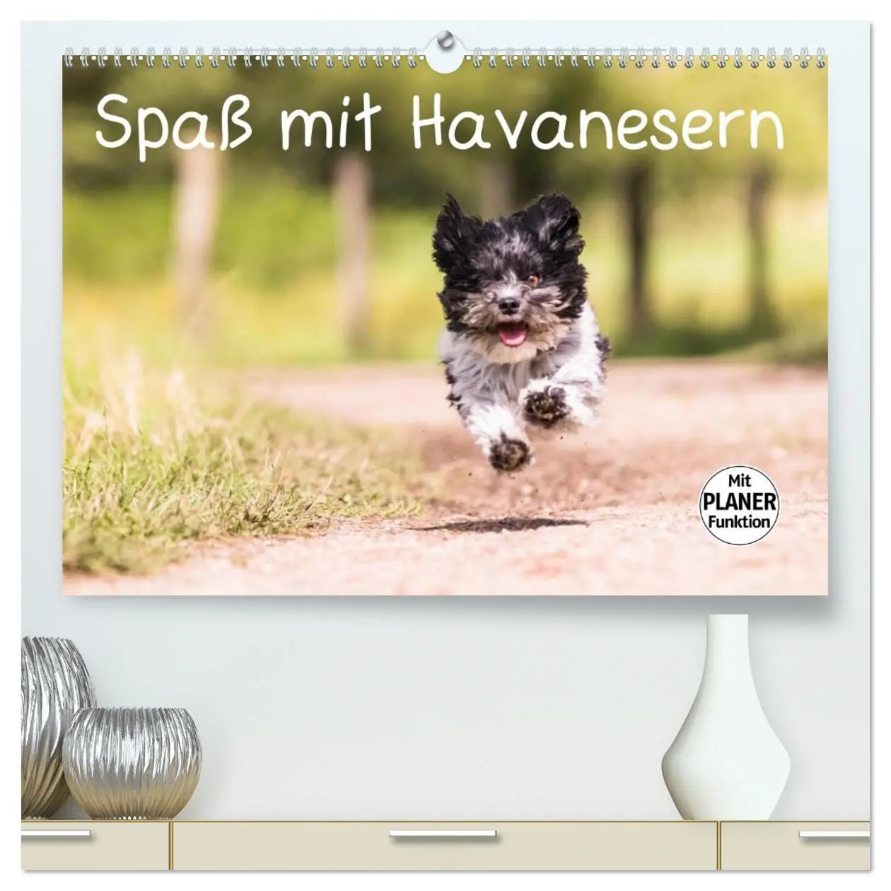 Cover: 9783516012392 | Spaß mit Havanesern (hochwertiger Premium Wandkalender 2026 DIN A2...