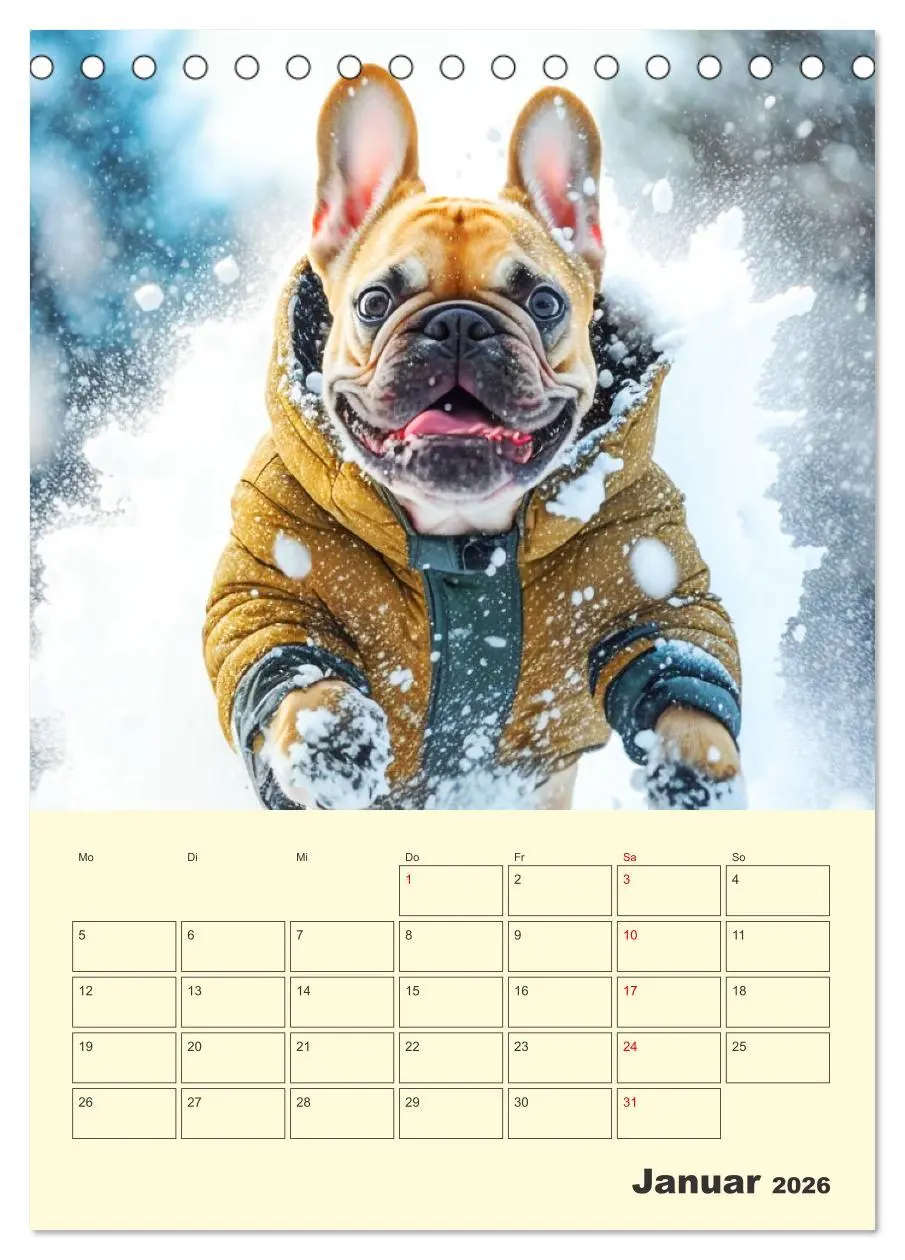 Bild: 9783516322392 | Lustige Fledermäuse. Französische Bulldoggen bei der...
