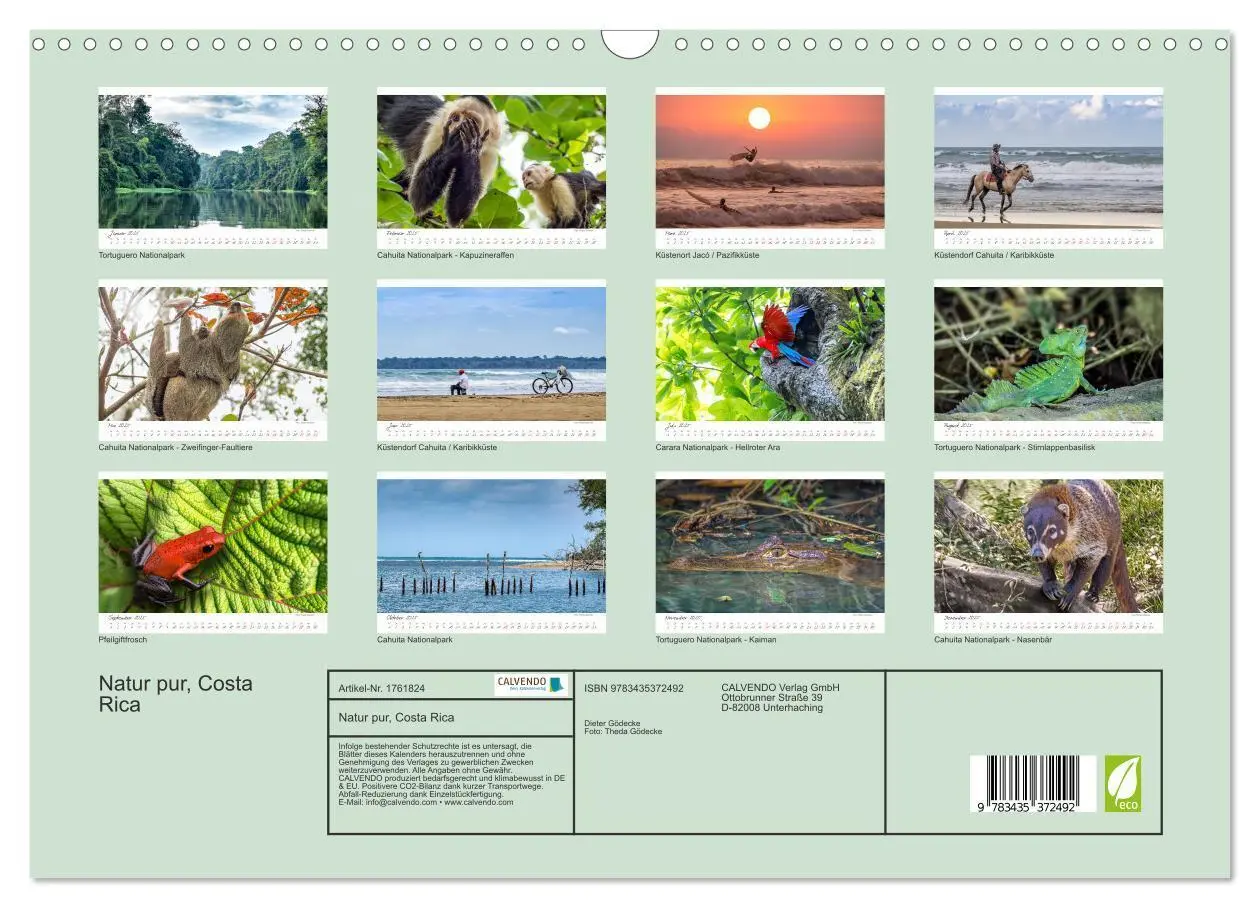 Bild: 9783435372492 | Natur pur, Costa Rica (Wandkalender 2025 DIN A3 quer), CALVENDO...