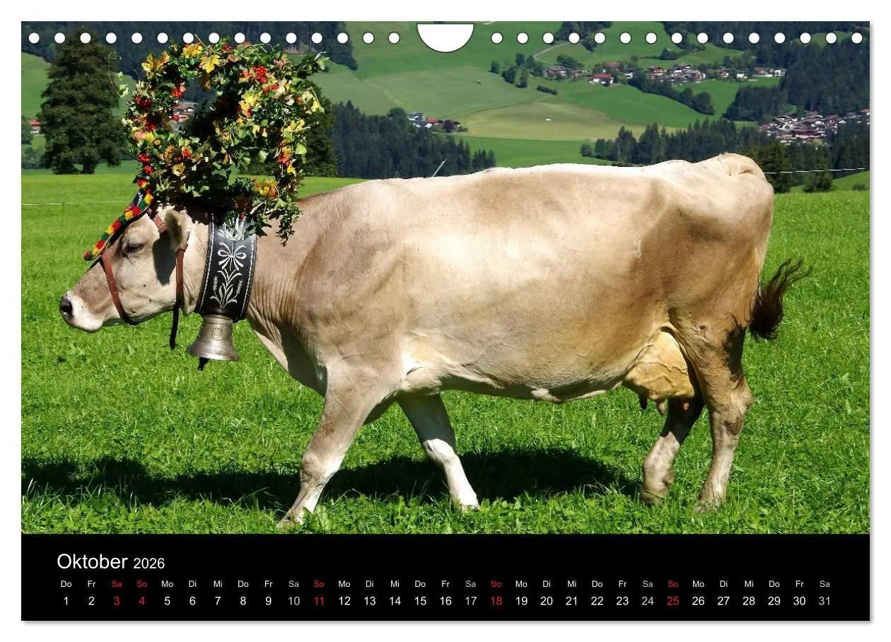 Bild: 9783516002492 | Almabtrieb in Tirol (Wandkalender 2026 DIN A4 quer), CALVENDO...