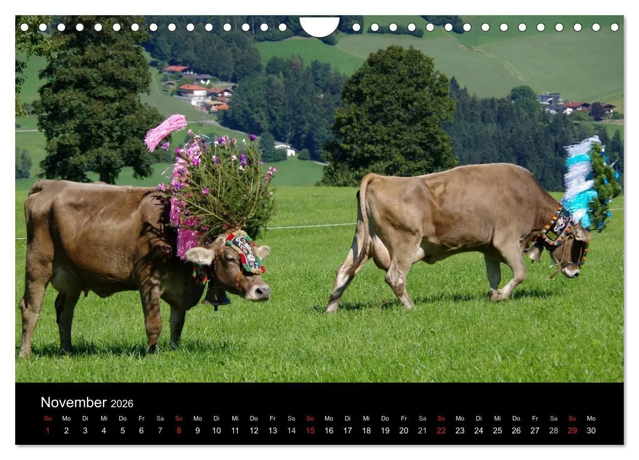 Bild: 9783516002492 | Almabtrieb in Tirol (Wandkalender 2026 DIN A4 quer), CALVENDO...