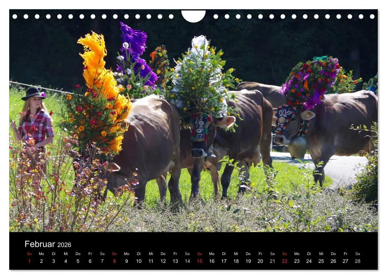 Bild: 9783516002492 | Almabtrieb in Tirol (Wandkalender 2026 DIN A4 quer), CALVENDO...