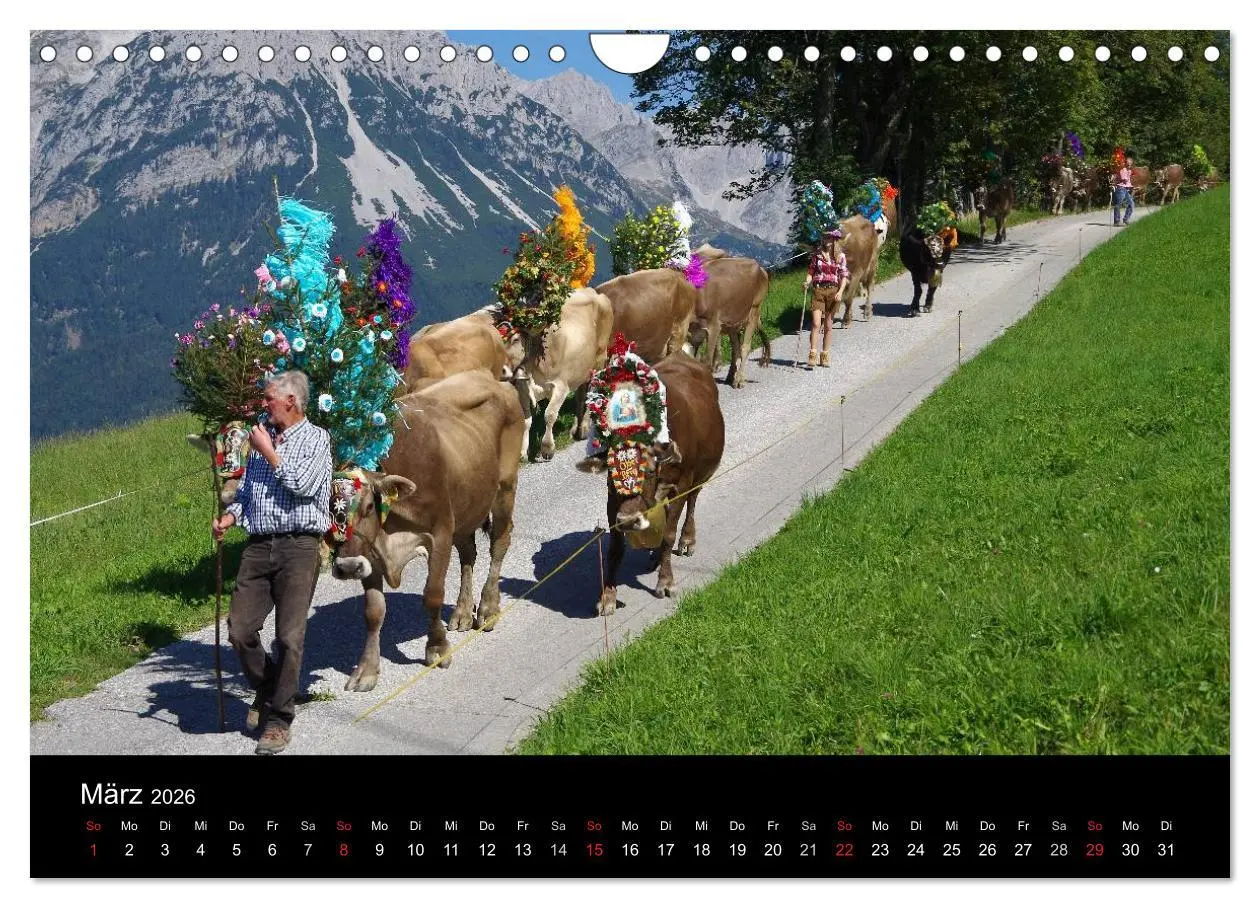 Bild: 9783516002492 | Almabtrieb in Tirol (Wandkalender 2026 DIN A4 quer), CALVENDO...