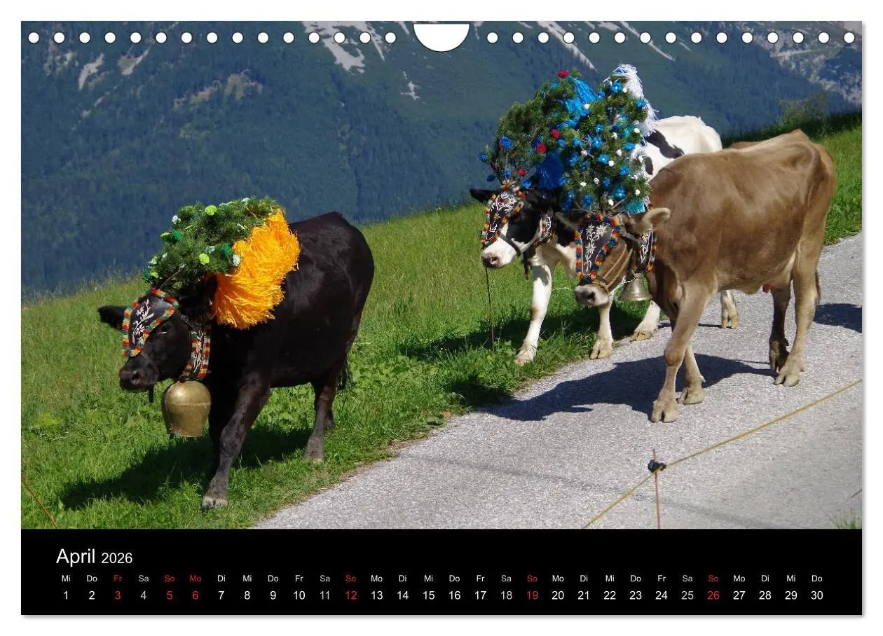 Bild: 9783516002492 | Almabtrieb in Tirol (Wandkalender 2026 DIN A4 quer), CALVENDO...