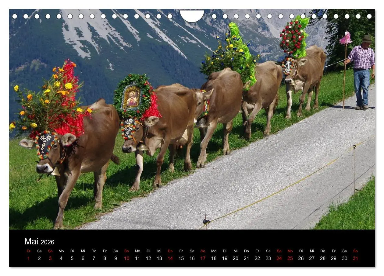 Bild: 9783516002492 | Almabtrieb in Tirol (Wandkalender 2026 DIN A4 quer), CALVENDO...