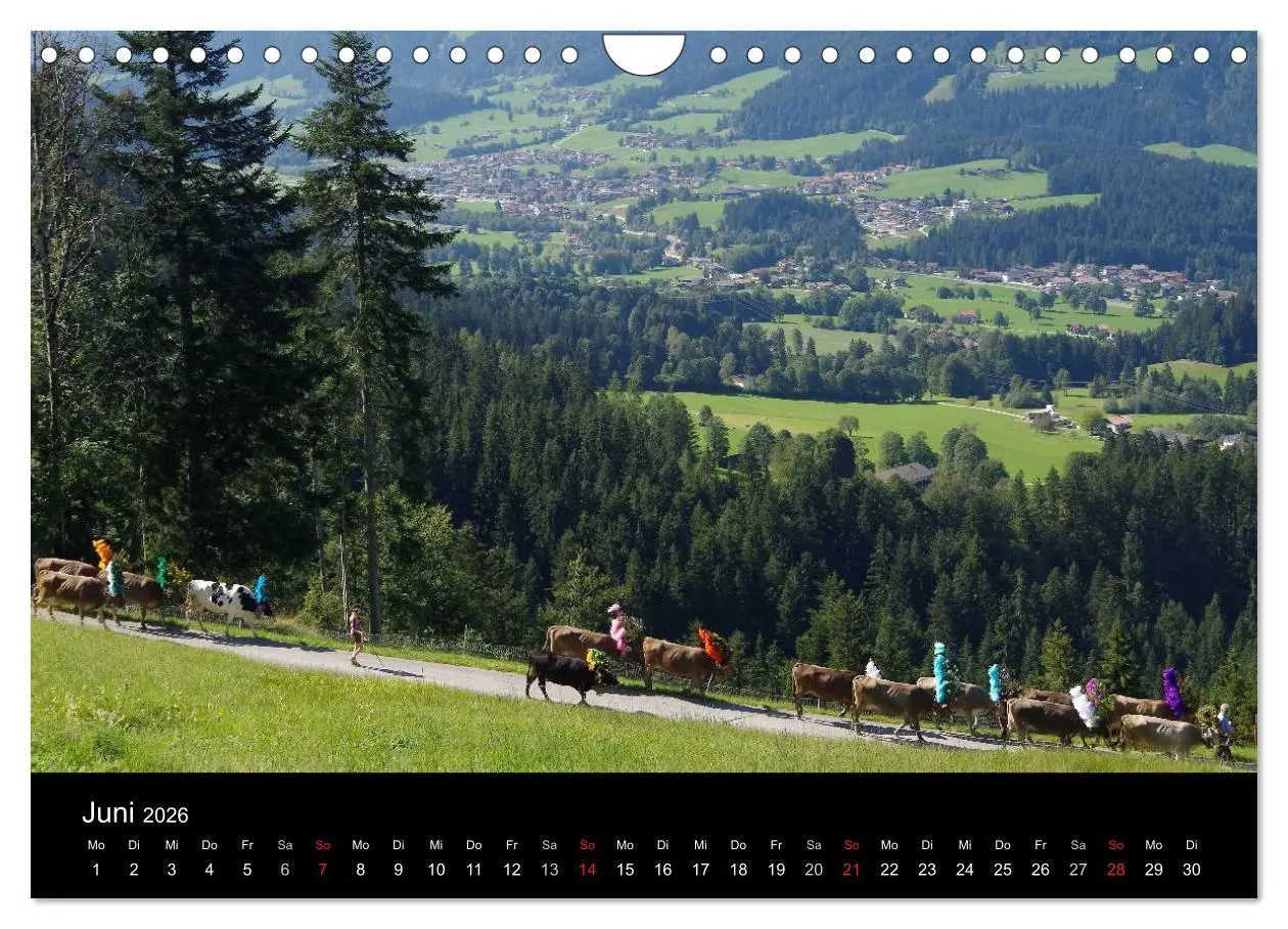 Bild: 9783516002492 | Almabtrieb in Tirol (Wandkalender 2026 DIN A4 quer), CALVENDO...