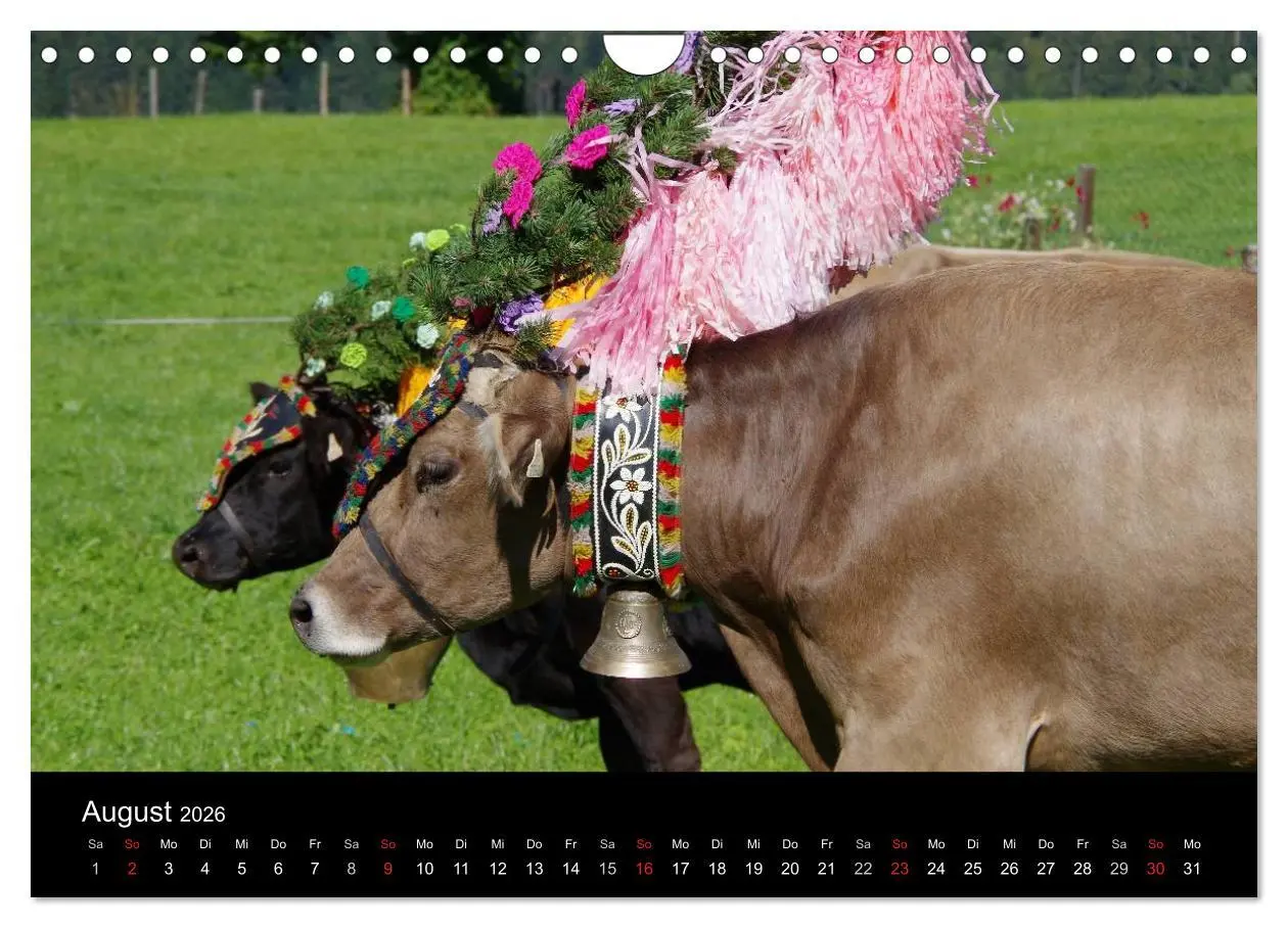 Bild: 9783516002492 | Almabtrieb in Tirol (Wandkalender 2026 DIN A4 quer), CALVENDO...