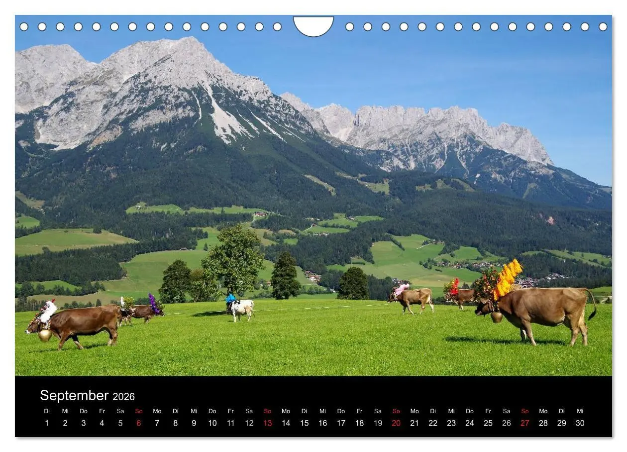 Bild: 9783516002492 | Almabtrieb in Tirol (Wandkalender 2026 DIN A4 quer), CALVENDO...