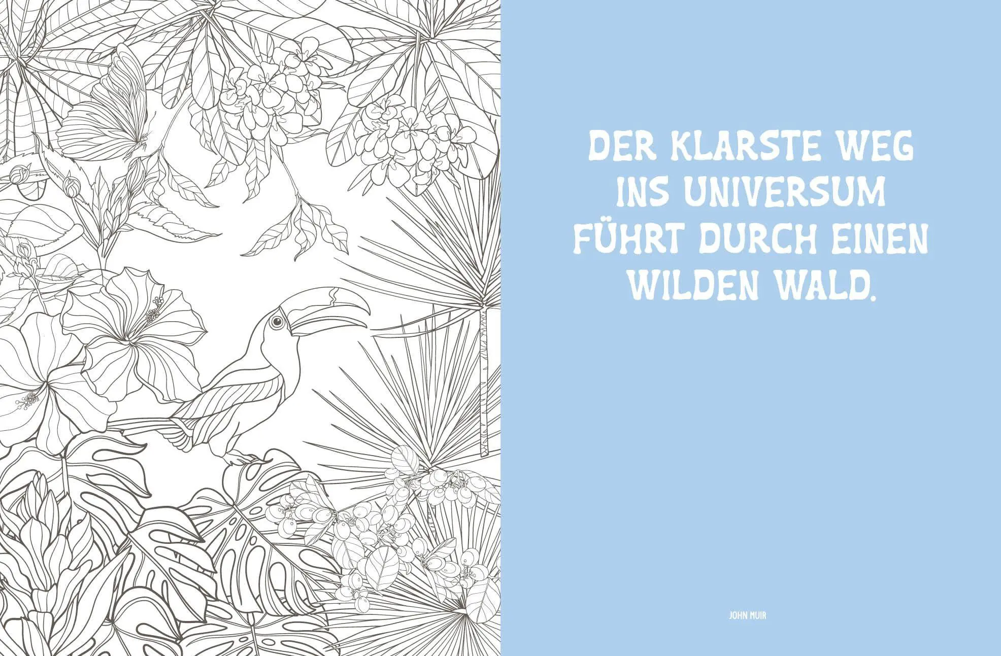 Bild: 9783745932492 | Colorful Mandala - Tropenzauber | Taschenbuch | 96 S. | Deutsch | 2026