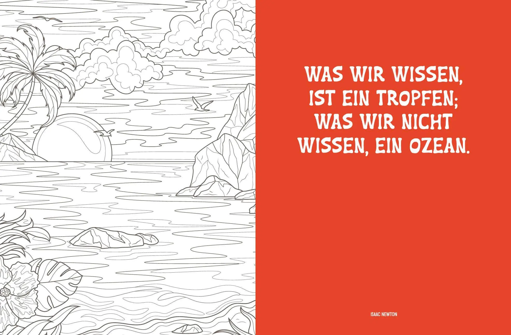 Bild: 9783745932492 | Colorful Mandala - Tropenzauber | Taschenbuch | 96 S. | Deutsch | 2026