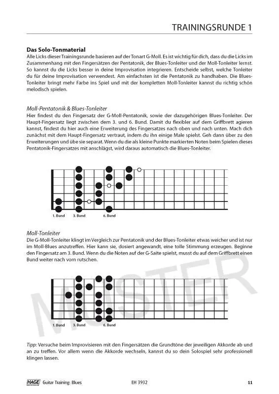 Bild: 9783866262492 | Guitar Training Blues + CD + DVD | Daniel Schusterbauer | Broschüre