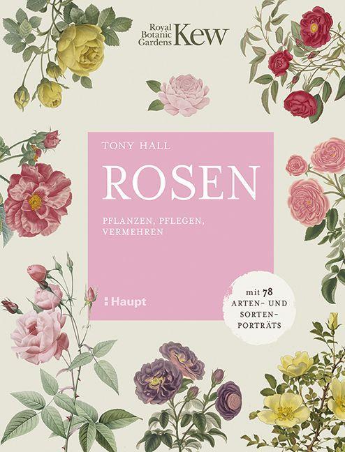Cover: 9783258082592 | Rosen | Tony Hall | Buch | 144 S. | Deutsch | 2022 | Haupt Verlag AG