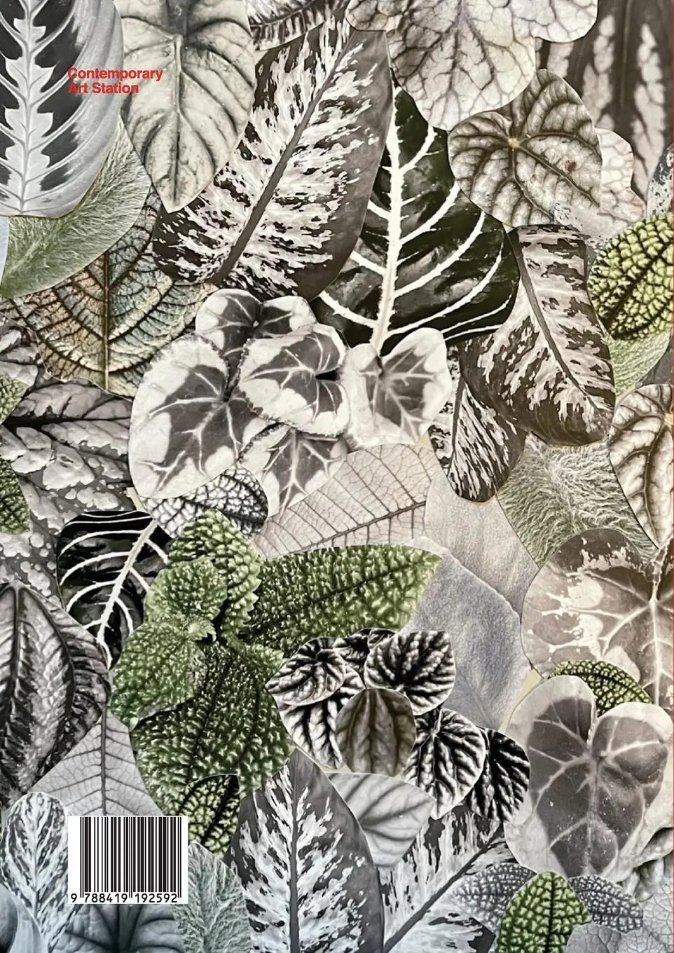 Rückseite: 9788419192592 | Art Collector's Choice - Volume 3 | Contemporary Art Station | Buch