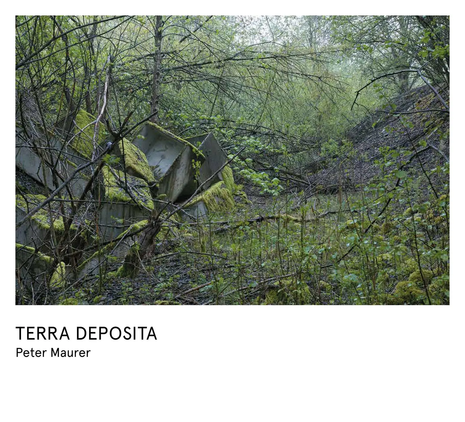 Cover: 9783039422692 | Peter Maurer - Terra Deposita | Belastetes Land im Zwielicht | Buch