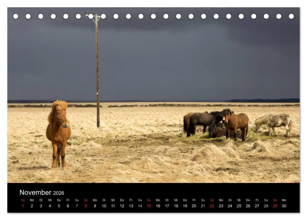 Bild: 9783457992692 | Eindrücklich Island 2026 (Tischkalender 2026 DIN A5 quer), CALVENDO...