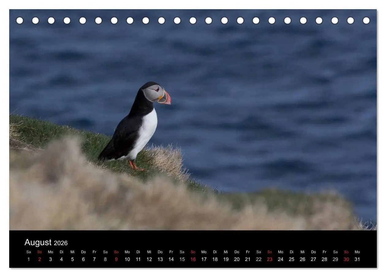 Bild: 9783457992692 | Eindrücklich Island 2026 (Tischkalender 2026 DIN A5 quer), CALVENDO...