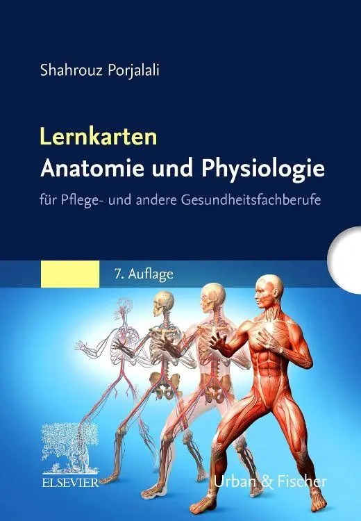 Cover: 9783437252792 | Lernkarten Anatomie und Physiologie | Shahrouz Porjalali | Box | VI