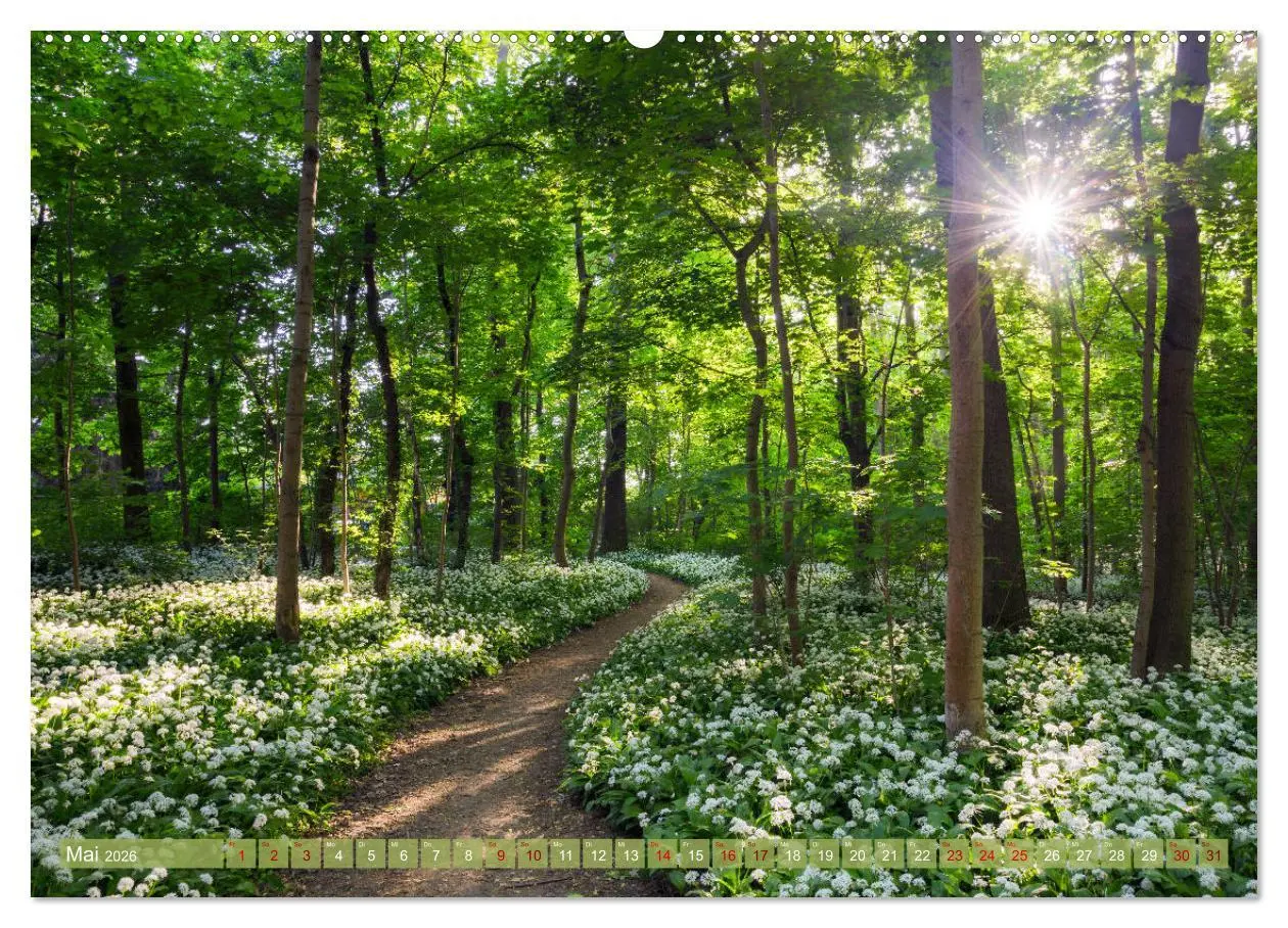 Bild: 9783457672792 | Wege zur Entspannung 2026 (hochwertiger Premium Wandkalender 2026...