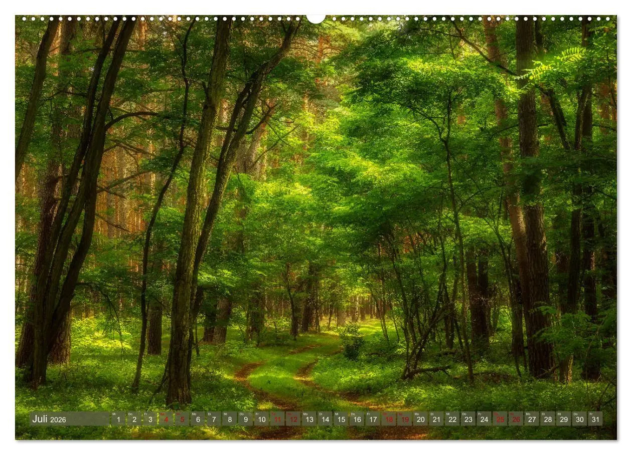 Bild: 9783457672792 | Wege zur Entspannung 2026 (hochwertiger Premium Wandkalender 2026...