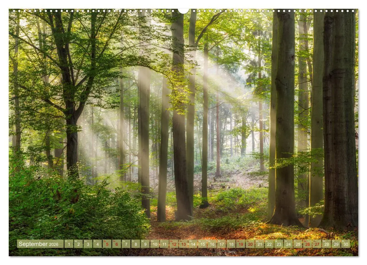 Bild: 9783457672792 | Wege zur Entspannung 2026 (hochwertiger Premium Wandkalender 2026...