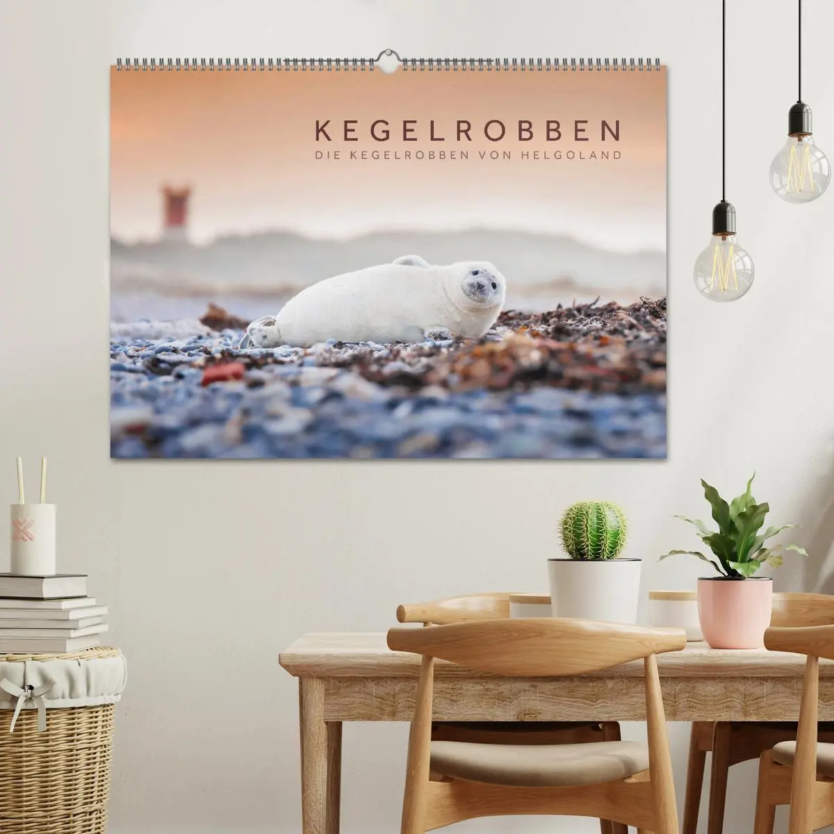 Bild: 9783457812792 | Kegelrobben - Die Kegelrobben von Helgoland (Wandkalender 2026 DIN...